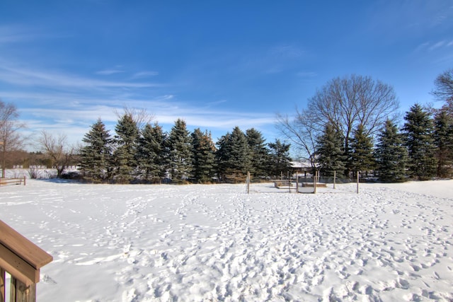 view of snowy yard