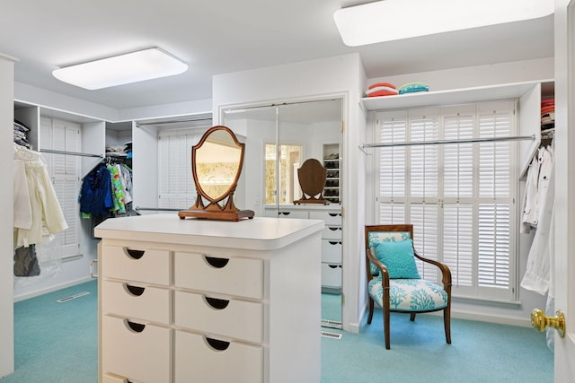 spacious closet with carpet