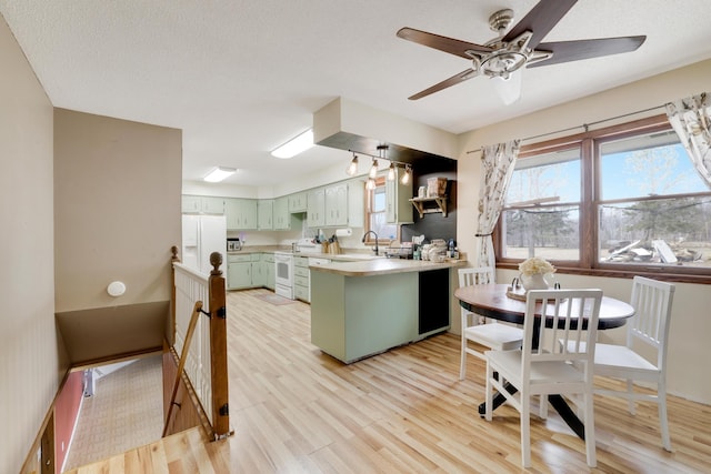 kitchen featuring light wood finished floors, light countertops, green cabinets, a healthy amount of sunlight, and white appliances