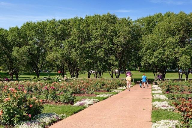 surrounding community featuring a yard