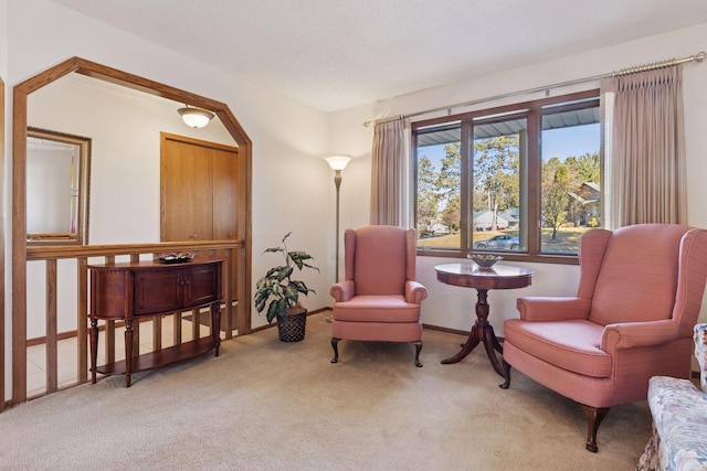 sitting room featuring light colored carpet, a textured ceiling, and baseboards