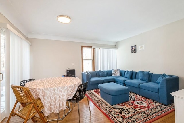 living area featuring light wood-style flooring