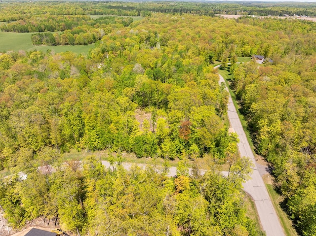 LOT3BLK2KATHRYNAVE Kathryn Ave, Grand Rapids, MN 55744