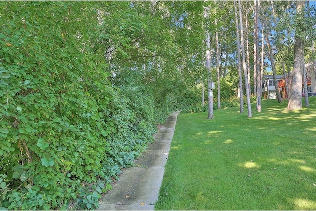 13413 Pine View Pl, Lindstrom, MN 55045 - view of grassy yard