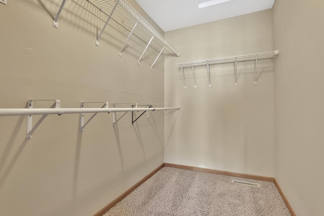 13413 Pine View Pl, Lindstrom, MN 55045 - spacious closet with carpet