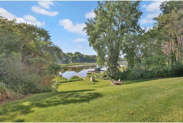 13413 Pine View Pl, Lindstrom, MN 55045 - view of green lawn featuring a water view