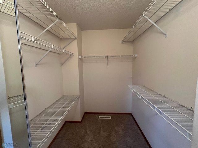 spacious closet featuring carpet flooring