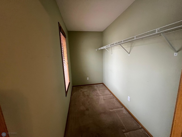 walk in closet with carpet floors