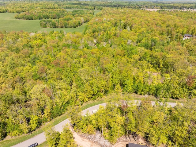 LOT6BLK2KATHRYNAVE Kathryn Ave, Grand Rapids, MN 55744