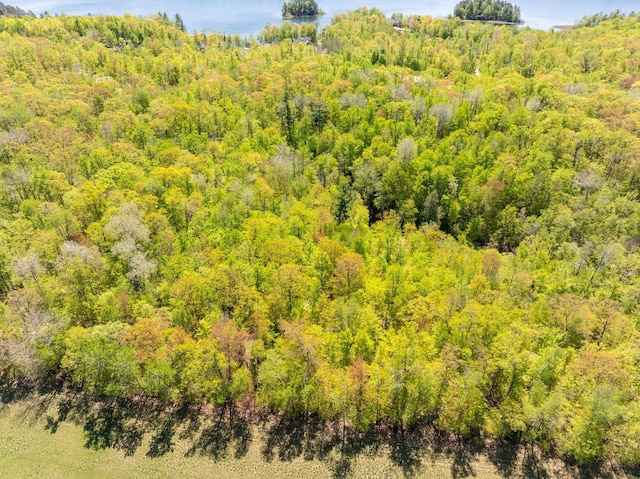 LOT16BLK1NICHOLASST Kathryn Ave, Grand Rapids, MN 55744