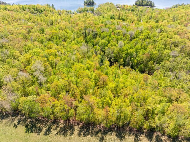 LOT15BLK1NICHOLASST Nicholas St, Grand Rapids, MN 55744 - photo 9