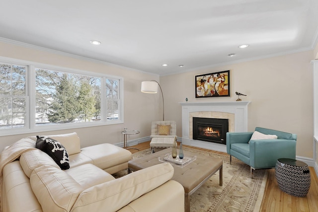 living room featuring ornamental molding, baseboards, light wood finished floors, and a premium fireplace