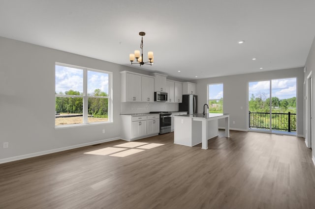 kitchen with wood finished floors, a kitchen island with sink, appliances with stainless steel finishes, open floor plan, and backsplash