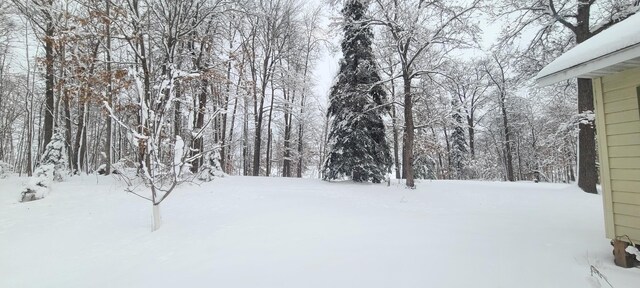 view of yard layered in snow