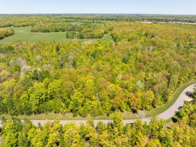 LOT12BLK1NICHOLASST Nicholas St, Grand Rapids, MN 55744 - photo 6