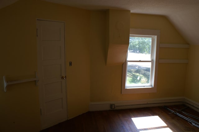 additional living space featuring dark wood-style floors and lofted ceiling