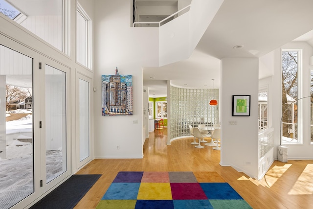 foyer with a high ceiling, baseboards, and wood finished floors