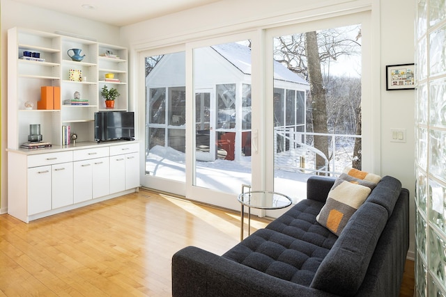 entryway with light wood-style floors