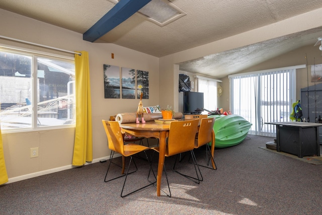 24932 Wall Lake Point Cir, Fergus Falls, MN 56537 - dining area with a textured ceiling, carpet floors, lofted ceiling, and baseboards
