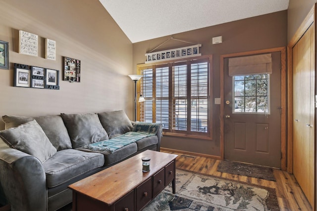 living room featuring lofted ceiling, a textured ceiling, and wood finished floors