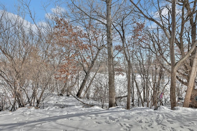 view of yard layered in snow