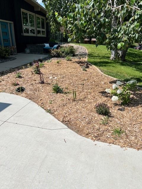 view of yard with a patio