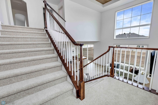 3254 Timber Creek Cir S, Fargo, ND 58104 - staircase with carpet flooring