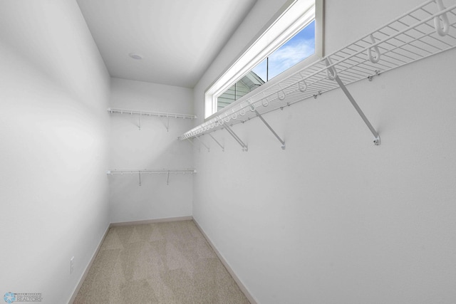 3254 Timber Creek Cir S, Fargo, ND 58104 - walk in closet with light colored carpet