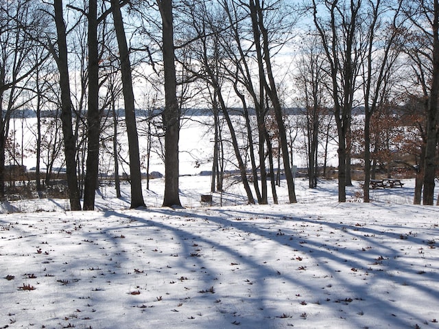 25381 White Oak Dr, Sand Lake Twp, WI 54893 - photo 21