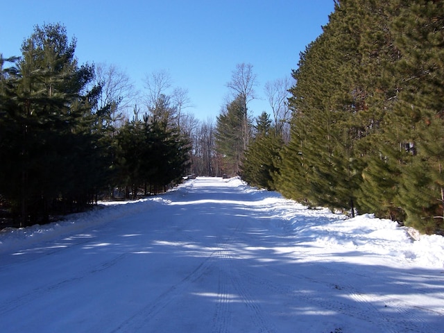 25381 White Oak Dr, Sand Lake Twp, WI 54893 - photo 22