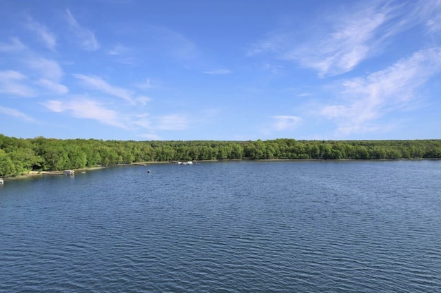 25381 White Oak Dr, Sand Lake Twp, WI 54893 - photo 24