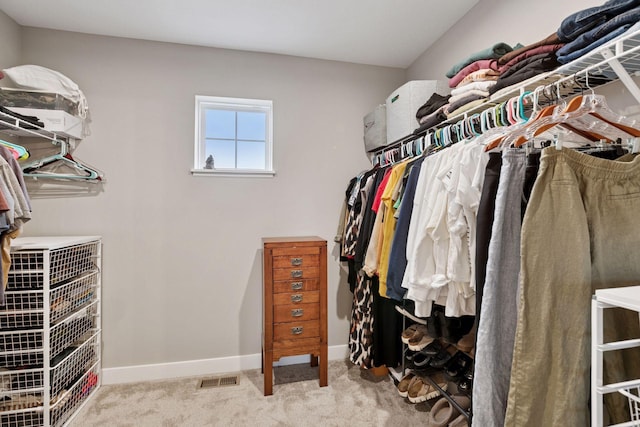 spacious closet featuring carpet flooring