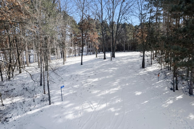 14557 661st St, Greenfield Twp MN, 55981 land for sale