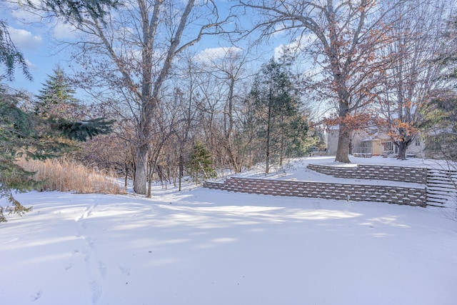 view of yard covered in snow