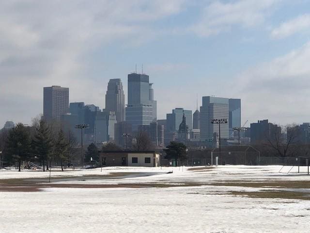 632 Morgan Ave S, Minneapolis, MN 55405 - view of city skyline