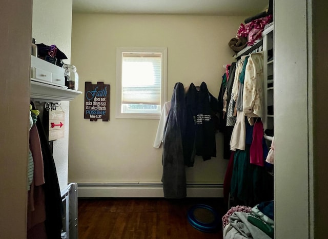 walk in closet with dark wood finished floors