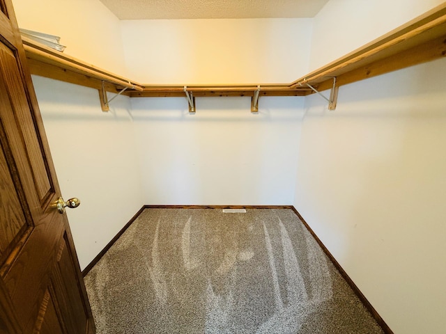 walk in closet with carpet floors