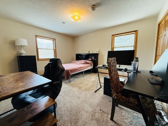 carpeted bedroom with a textured ceiling