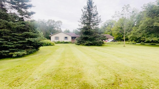 view of yard featuring driveway