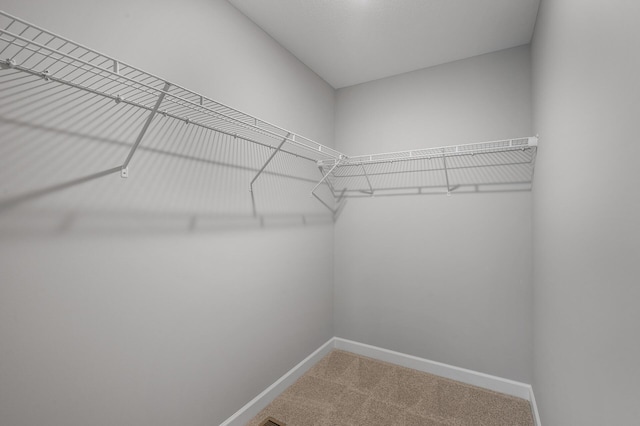 spacious closet featuring carpet