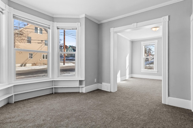 interior space with carpet floors, baseboards, and crown molding