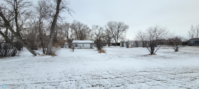 view of snowy yard