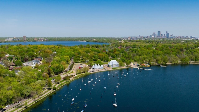 4889 Lake Harriet Pkwy, Minneapolis, MN 55419 - view of property location featuring a nearby body of water and city skyline