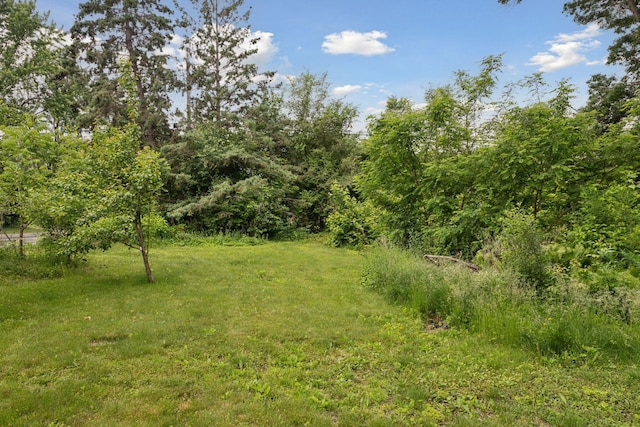 2705 Hillview Rd, Mounds View, MN 55112