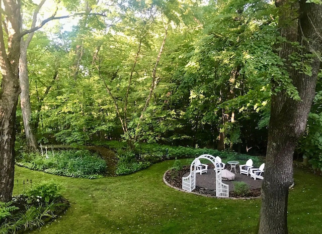 view of yard with a patio, a view of trees, and a fire pit