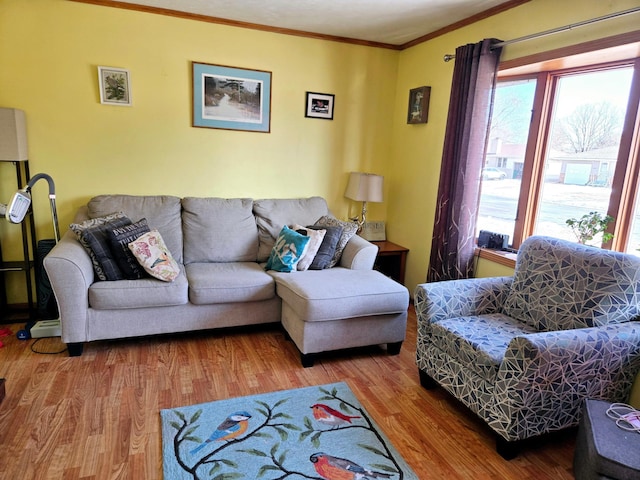 living room featuring crown molding and wood finished floors