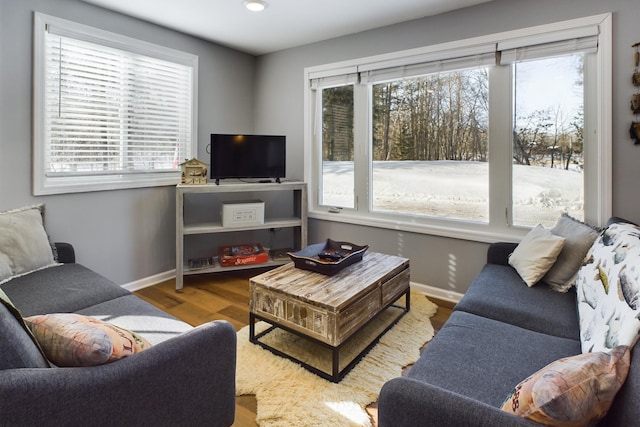 living room featuring baseboards and wood finished floors