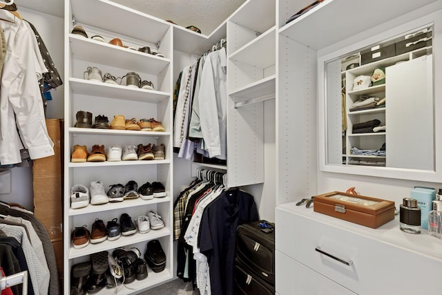 view of walk in closet