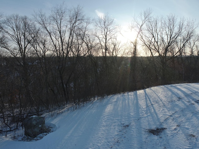 view of snowy yard