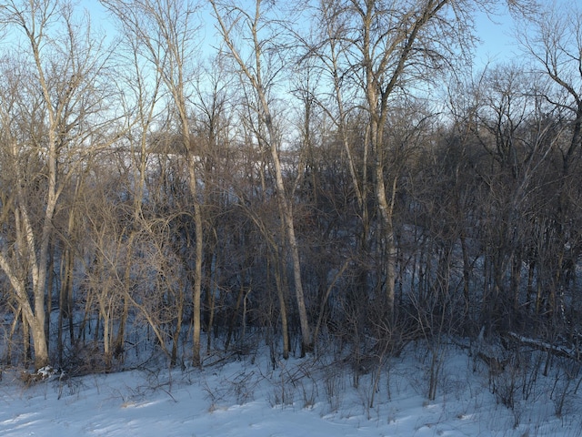 view of snowy landscape